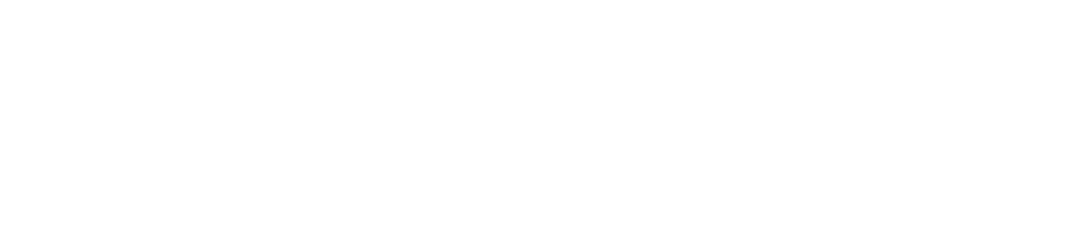 Revivalschool